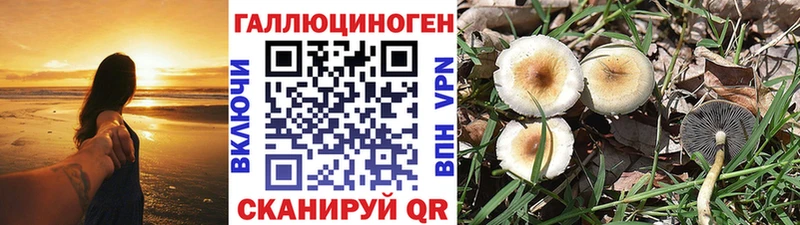 Псилоцибиновые грибы Magic Shrooms  Купить закладки  Тарко-Сале 